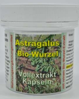 ASTRAGALUS BIO-Vollextrakt 500 mg Kapseln (90)