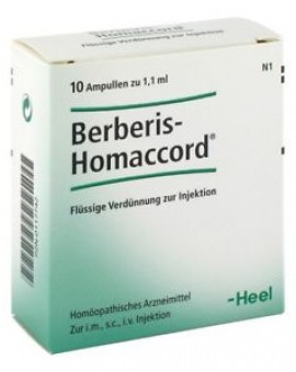 Berberis Homaccord (10)